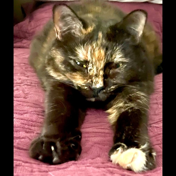 Everything listed after this post is sold! - Picture 3 of 11